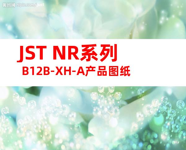 JST NR系列 B12B-XH-A产品图纸